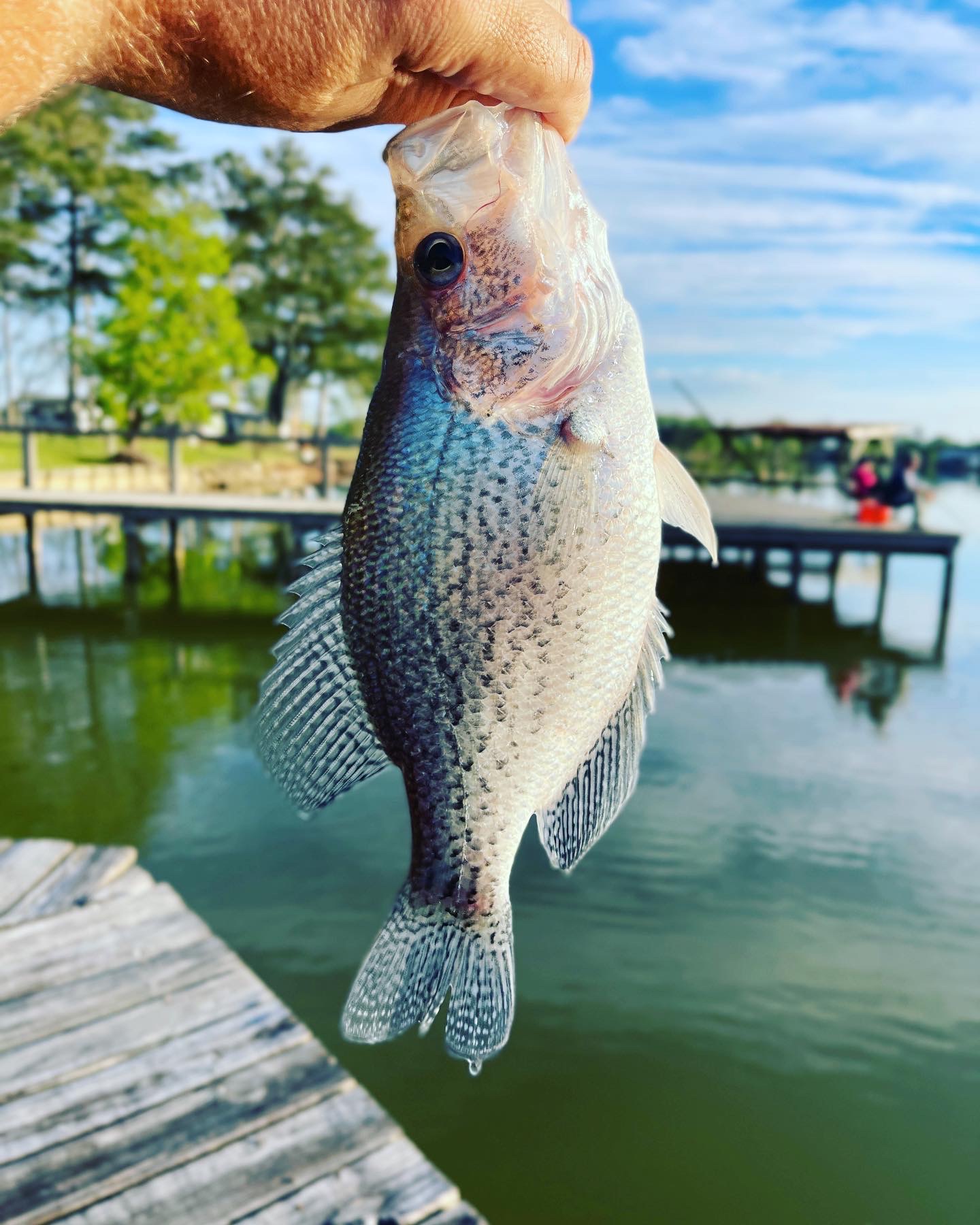 It's about time to catch some crappie - Kentucky Department of